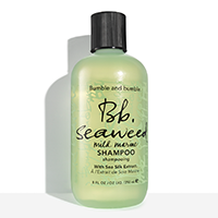 Seaweed Shampoo